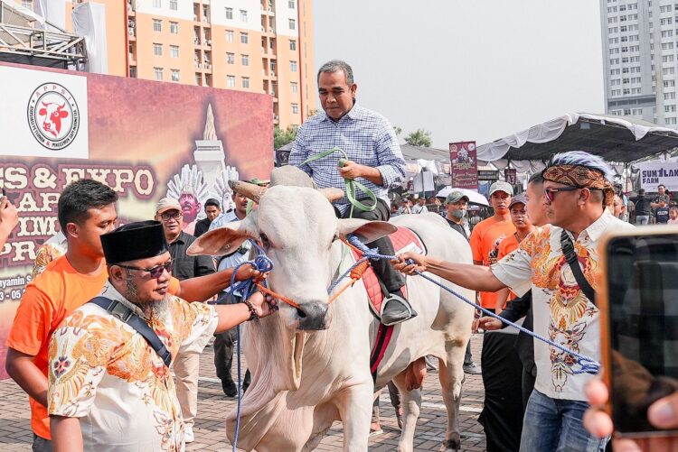 Muzani Hadiri Kontes Sapi APPSI, Singgung Program Makan Siang Gratis Prabowo-Gibran